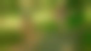 russian young nudistteen dreesed nude|russian nudist Videos and Porn Movies :: PornMD