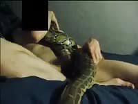 Brain fucked cat comic porn comics jpg x Guy fucks cat