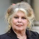 Frédéric Deban, Brigitte Bardot, Sous le soleil