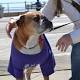 Nearly 1K walk the Asbury boardwalk to fight against premature birth 
