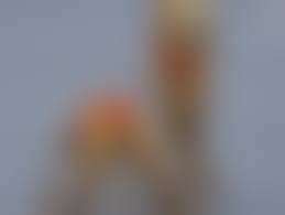 レオタード盗撮|写真】張りのある太もものライン！ムチムチタイトなハイレグレオタードに身を包んだ長身グラマラスコスプレイヤー 高画質181枚！ |  デジタルコンテンツのオープンマーケット Gcolle