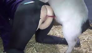 Women and animal sex jpg x Women and animal sex