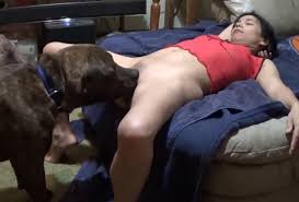 Smashing fresh faced amateur hoe gets fucked a dog in this thrilling zoo sex recording jpg x Amature dog