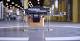 images?q=tbn:ANd9GcS_kE3Si_wvvAHPfieElt2