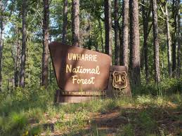 Uwharrie National Forest in North Carolina