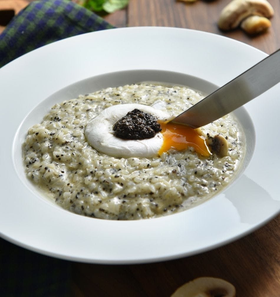 Restaurant Pinecone by null