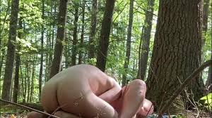 Eac ed e ed jpg x In forest