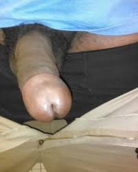 My big dick jpg x My big dick
