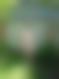 голышом на даче|Жена загорает голышом на даче фото - FotoSbor.com