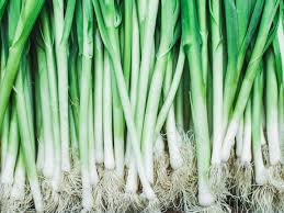 Onion young sex|Onion for sex: How does it boost your libido? | HealthShots
