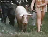 Egm oi snjweljimwkx jpg x Real farm