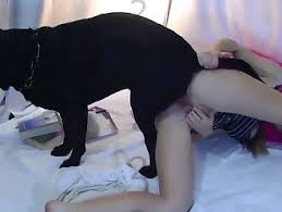 Fce cfbrunette with a black dog zoo porn girl fucks dog animals porn jpg x She fucks dogs