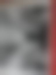  young hairy nude |Gerda Nude in Gerda is a young hairy girl wearing stockings - Free We Are  Hairy Picture Gallery at Elite Babes