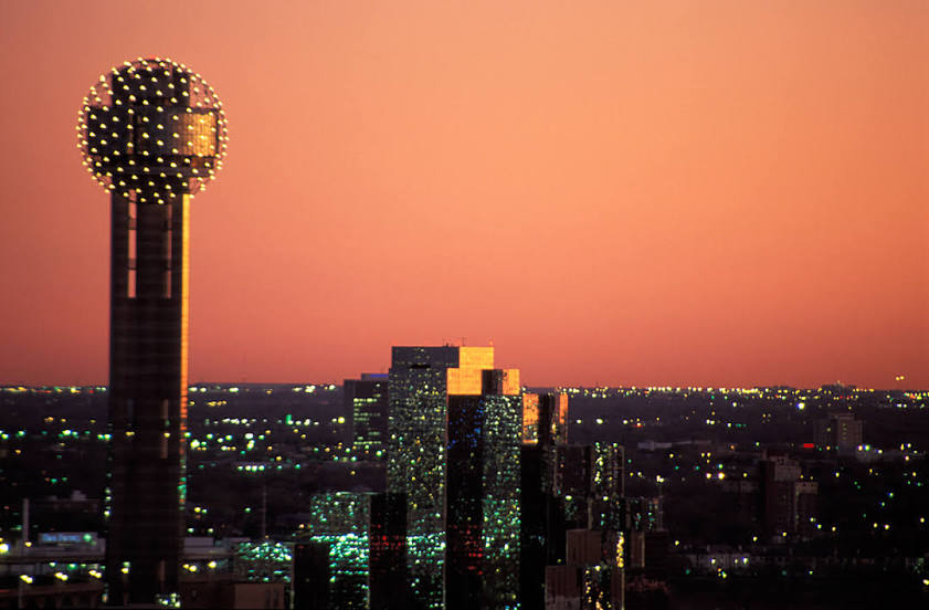 Tree Care Dallas Tree Care Near Me Tree Care Services