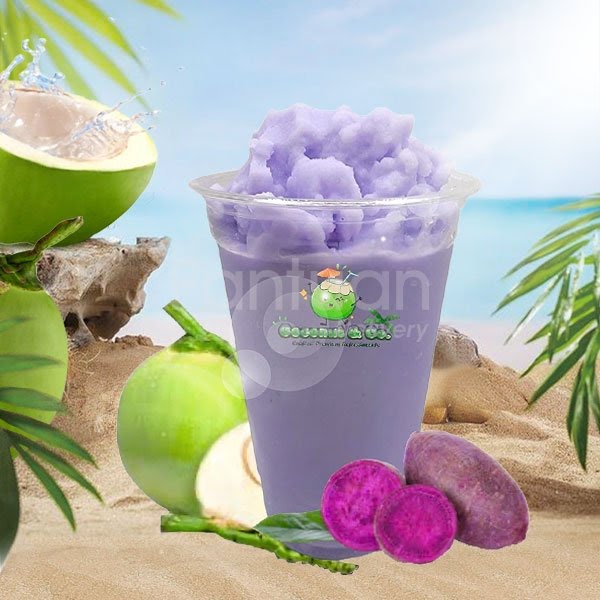 Coconut & Co. by null