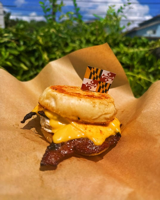 The Marylander by null