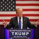 Is Trump's VA Plan a Solution in Search of a Problem? 