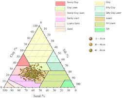 pedo collection|Unique Dents Dental Pedo Gifting Pack Combo set Surgical Plier Price in  India - Buy Unique Dents Dental Pedo Gifting Pack Combo set Surgical Plier  online at Flipkart.com