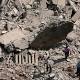 Mumbai again: 7 die in building collapse