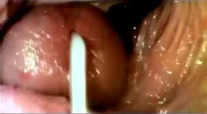 Camera inside of the vagina during sex warning for matured viewers only jpg x Camera inside vagina during sex