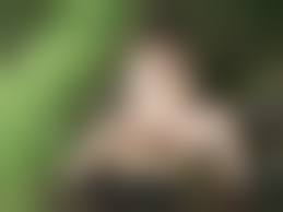 ゆりかご　プリちゃん　野外露出|野外露出定番ファッション！露出狂が裸でブーツのエロ画像 - 性癖エロ画像 センギリ