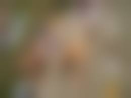 rajce nude family amateur|Rajce Nudist - 56 photos