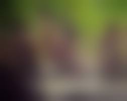 indian Tribe nude|Free Images : body painting, painted body, theatre, face, wild, nature,  wilderness, shamanism, shaman, ritual, dance, healing, ceremony, totem,  festival, carnival, magic, tradition, indigenous, native, art, arts,  elements, artist, painter, therapy, men,