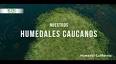 La Importancia de la Conservación de los Humedales ile ilgili video