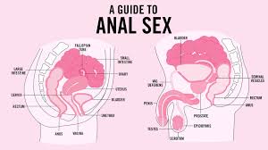 Search stepmom anal lesson jpg x Anal sex tutorial