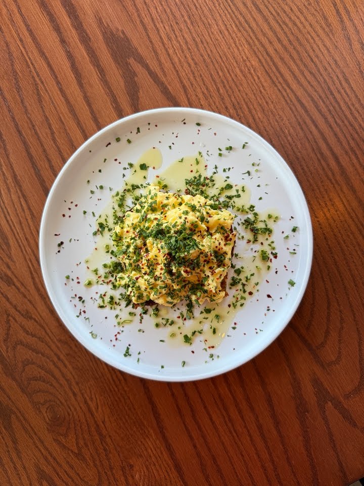 Shy Bird - Fenway by null