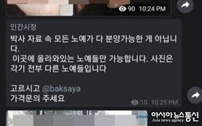 Baksaya 노예|텔레그램 n번방 박사, 피해자 74명...'일탈계' 해킹으로 유인 : 네이버 블로그