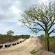 China's Global Ambitions, With Loans and Strings Attached - The New York Times 