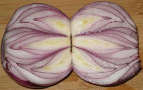 cp porn pic onion  is cp porn pics onion|Child sexual abuse material on the darknet | Forensische Psychiatrie,  Psychologie, Kriminologie