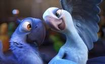 BluGuy