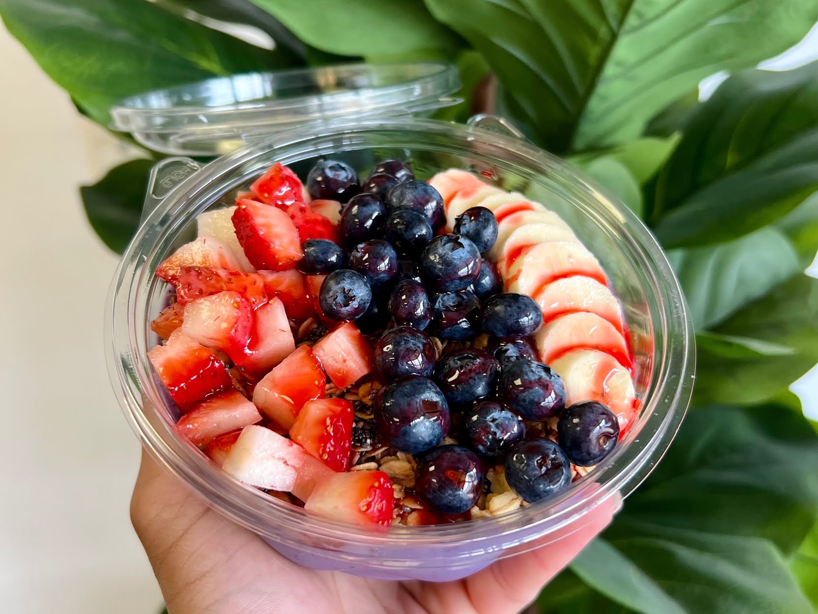 The Healthy Hangout by null