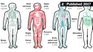 cannibalism|Scene of Cannibalism in Brazil in 1644 by Theodore de Bry