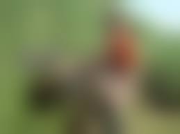 無修正野外露出　熟女　豊満青姦　gif|真っ昼間から野外性交に狂うおばさんたち…卑猥な身体で悶えまくりの青姦エロ画像