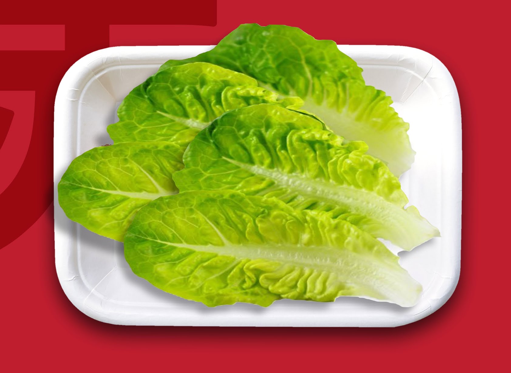 AKA Cambodia by null