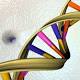 Scientists eye creating synthetic human genomes in lab 