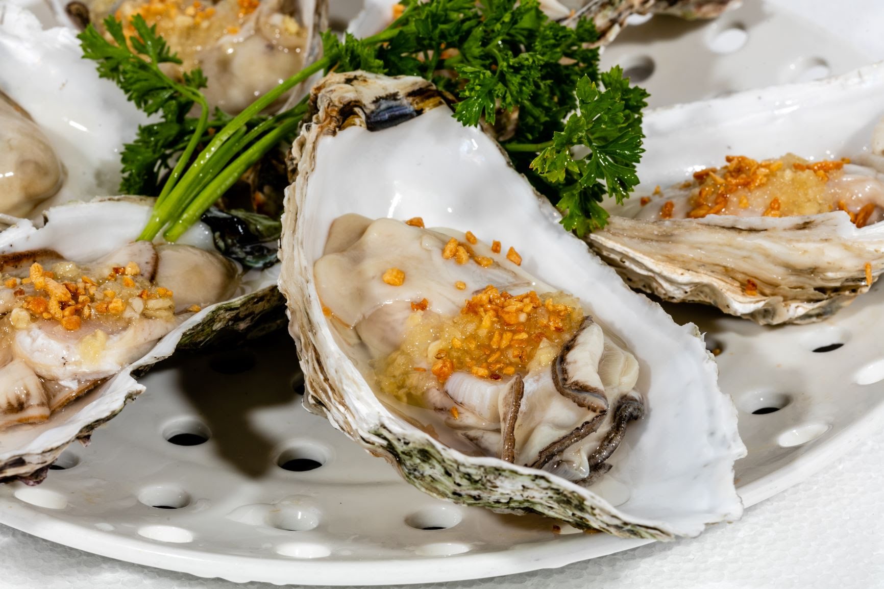 Tastee Steam Kitchen by null