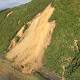 \'Like living on a waking dragon\': New Zealanders count cost of earthquake