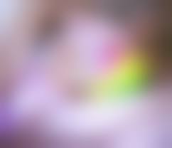 ジュニアアイドル　股間|ロリータプレス〜思春期アイドルの秘密〜 | ブログ | ブログサークル