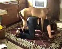 A dog tale one day in the park turria sex comic jpg x Girls getting fucked by dogs