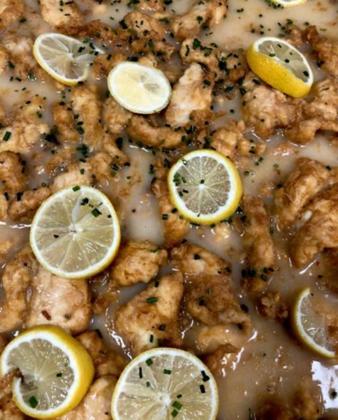 Leo's Casa Calamari by null