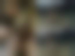 galleries grandfather daughter incest|