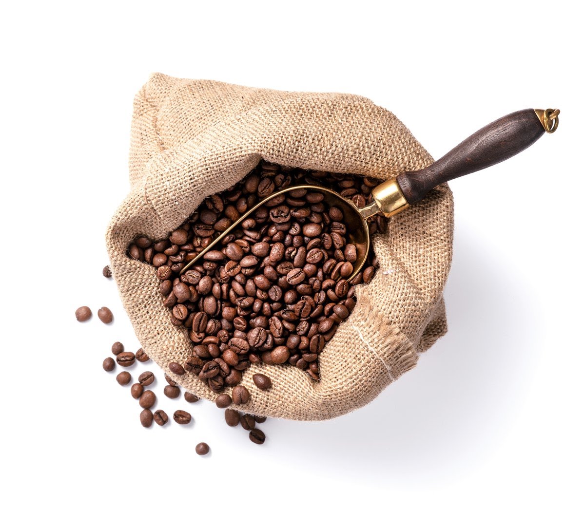 Qahwa Coffee Roastery by null
