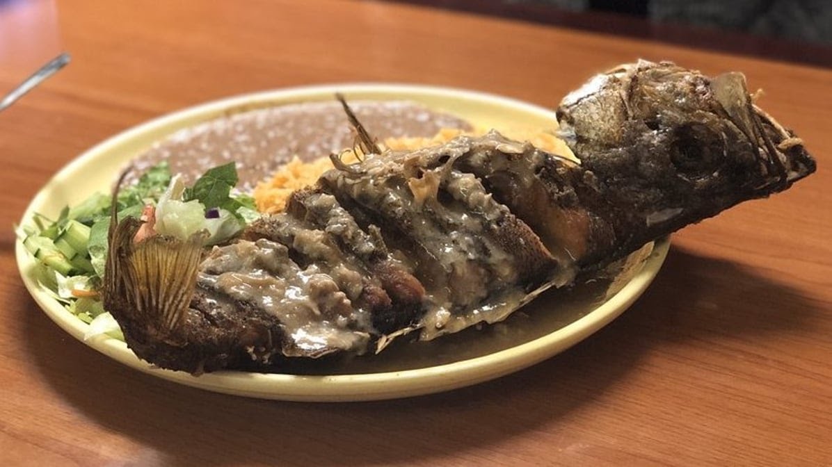 Tijuana Restaurant by null