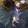 Pig kidney transplant dies