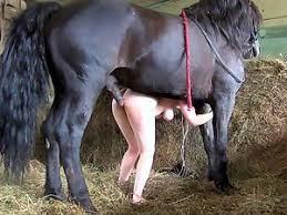 Girl fucking horse after sucking dick jpg x Horse fuck girl