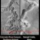Climate models used to explain formation of Mars valley networks 